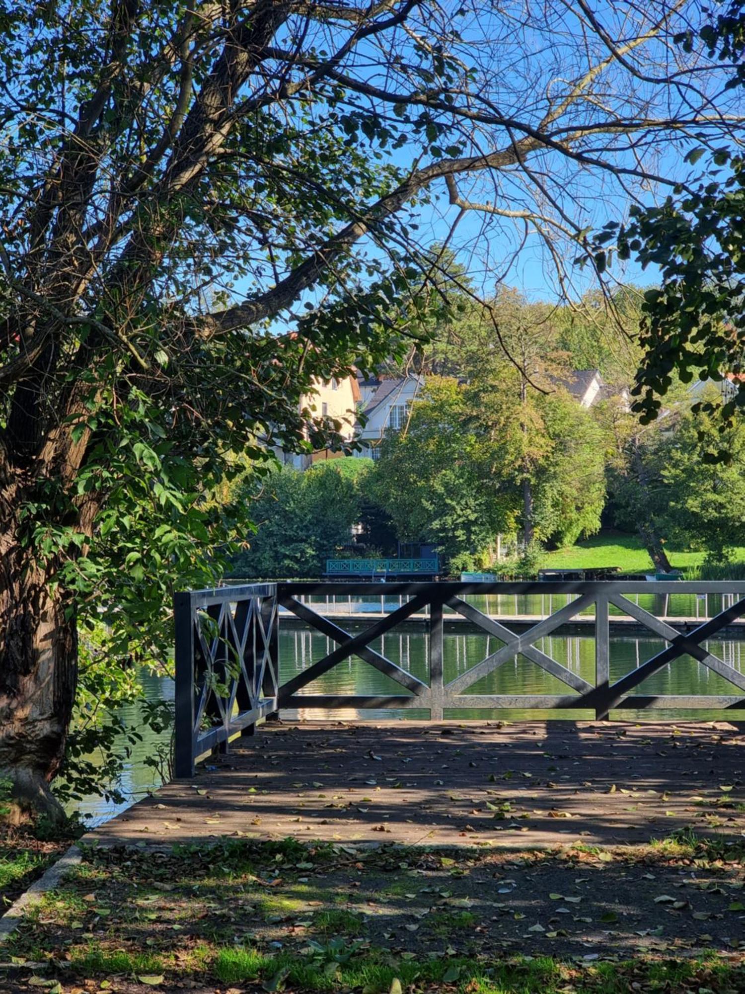 Apartment Fryderyk Lagow (Swiebodzin)